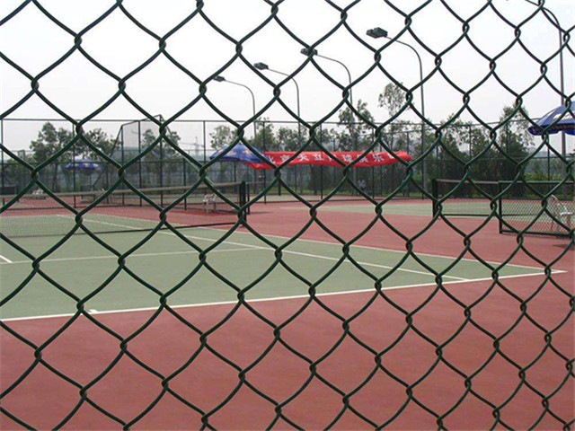 PVC勾花网 - 河北如顺金属丝网制造有限公司图片2