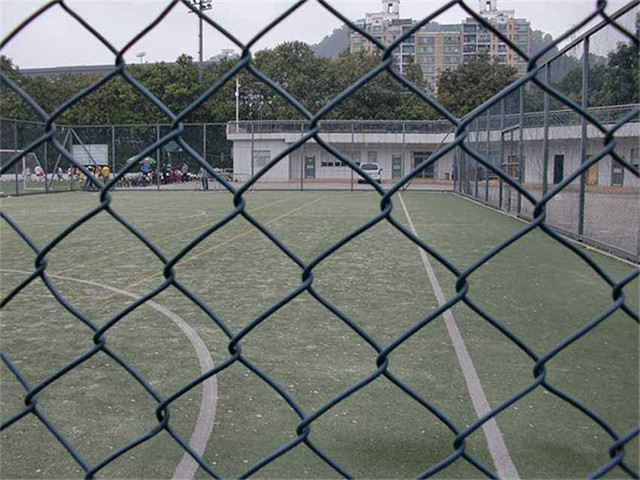 菱形金属网 - 河北如顺金属丝网制造有限公司图片2